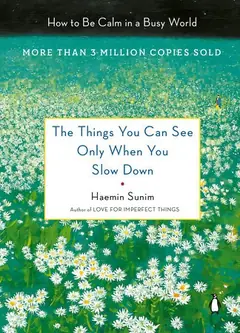 The things you can see only when you slow down cover