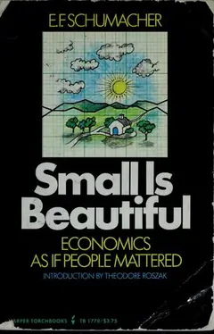 Small Is Beautiful cover