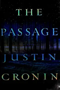 The Passage cover
