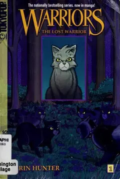 The Lost Warrior cover