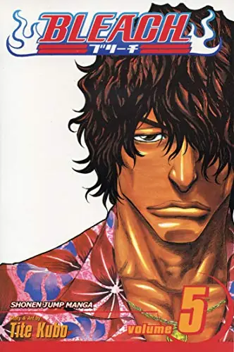 Cover of Bleach, Vol. 5 by Tite Kubo