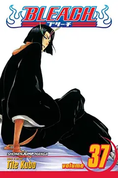 Bleach, Vol. 37 cover