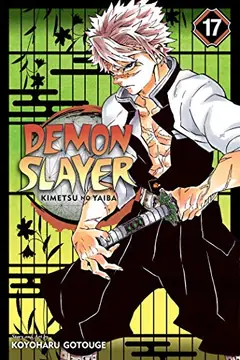 Demon Slayer: Kimetsu no Yaiba, Vol. 17 cover