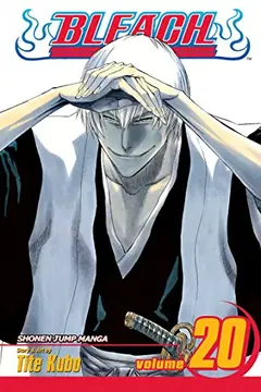 Bleach, Vol. 20 cover