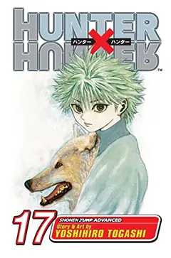 Hunter x Hunter, Vol. 17 cover