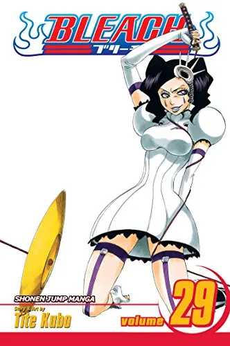 Cover of Bleach, Vol. 29 by Tite Kubo