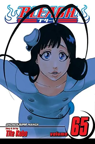 Cover of Bleach, Vol. 65 by Tite Kubo