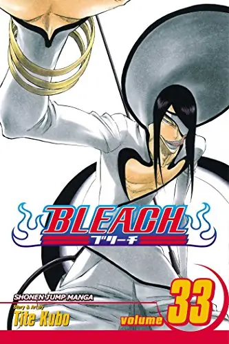 Cover of Bleach, Vol. 33 by Tite Kubo