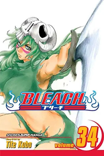 Cover of Bleach, Vol. 34 by Tite Kubo