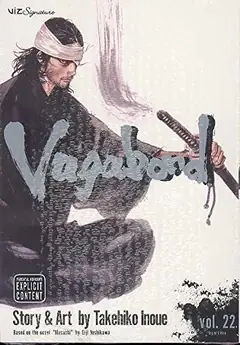 Vagabond, Vol. 22 cover