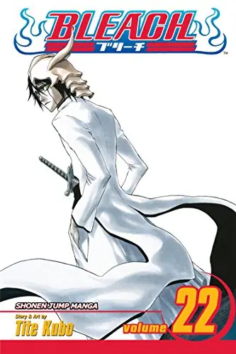 Cover of Bleach, Vol. 22 by Tite Kubo