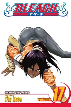 Bleach, Vol. 17 cover