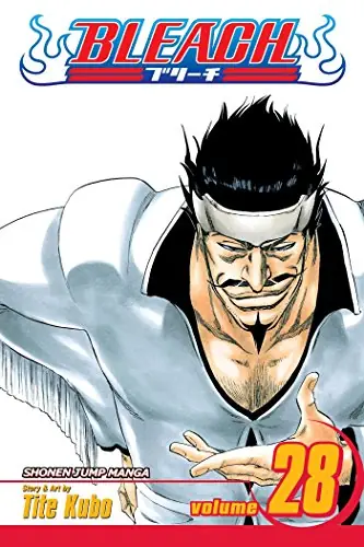 Cover of Bleach, Vol. 28 by Tite Kubo