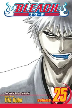 Bleach, Vol. 25 cover