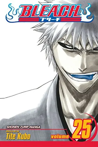 Cover of Bleach, Vol. 25 by Tite Kubo
