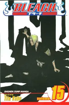 Bleach, Vol. 15 cover