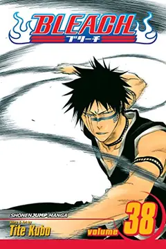 Bleach, Vol. 38 cover