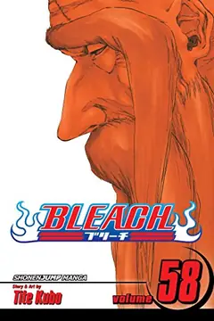 Bleach, Vol. 58 cover