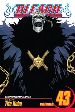 Bleach, Vol. 43 cover