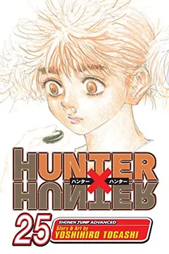 Hunter x Hunter, Vol. 25 cover