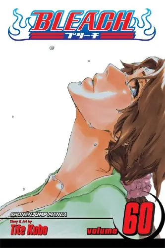 Cover of Bleach, Vol. 60 by Tite Kubo
