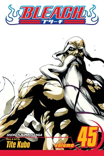 Cover of Bleach, Vol. 45 by Tite Kubo