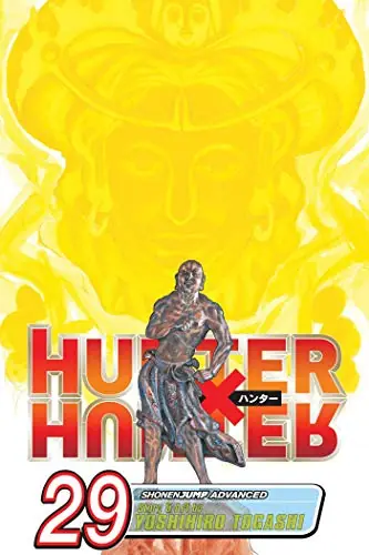Cover of Hunter x Hunter, Vol. 29 by Yoshihiro Togashi