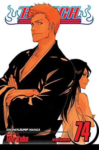 Cover of Bleach, Vol. 74 by Tite Kubo