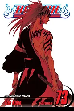 Bleach, Vol. 73 cover