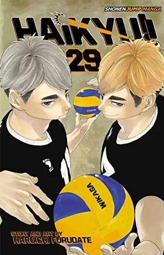 Cover of Haikyu!!, Vol. 29 by Haruichi Furudate