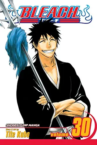 Cover of Bleach, Vol. 30 by Tite Kubo