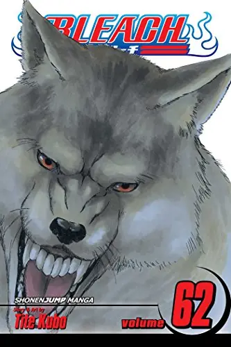Cover of Bleach, Vol. 62 by Tite Kubo