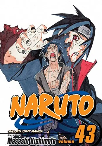 Cover of Naruto, Vol. 43 by Masashi Kishimoto