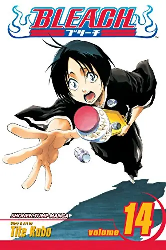 Cover of Bleach, Vol. 14 by Tite Kubo