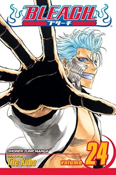 Bleach, Vol. 24 cover