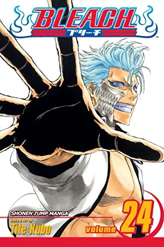 Cover of Bleach, Vol. 24 by Tite Kubo
